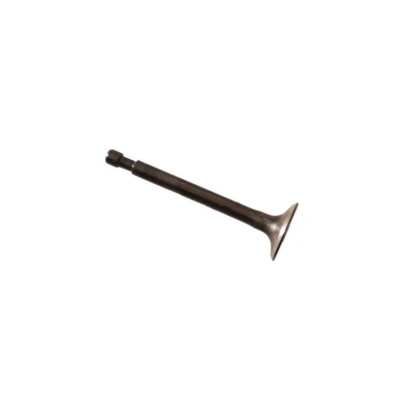 foto del prodotto valvola cilindro decespugliatore abbacchiatore originale stihl 41800252002