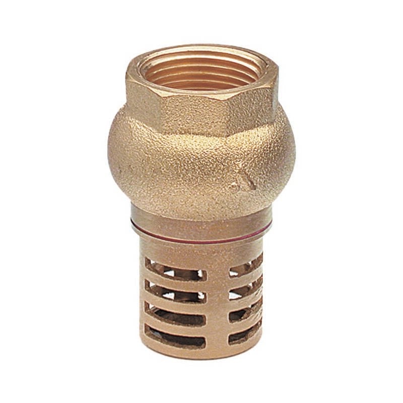 foto del prodotto valvola con succheruola pn10 1 1/4