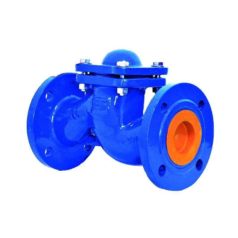 foto del prodotto valvola di ritegno a flusso avviato dn65