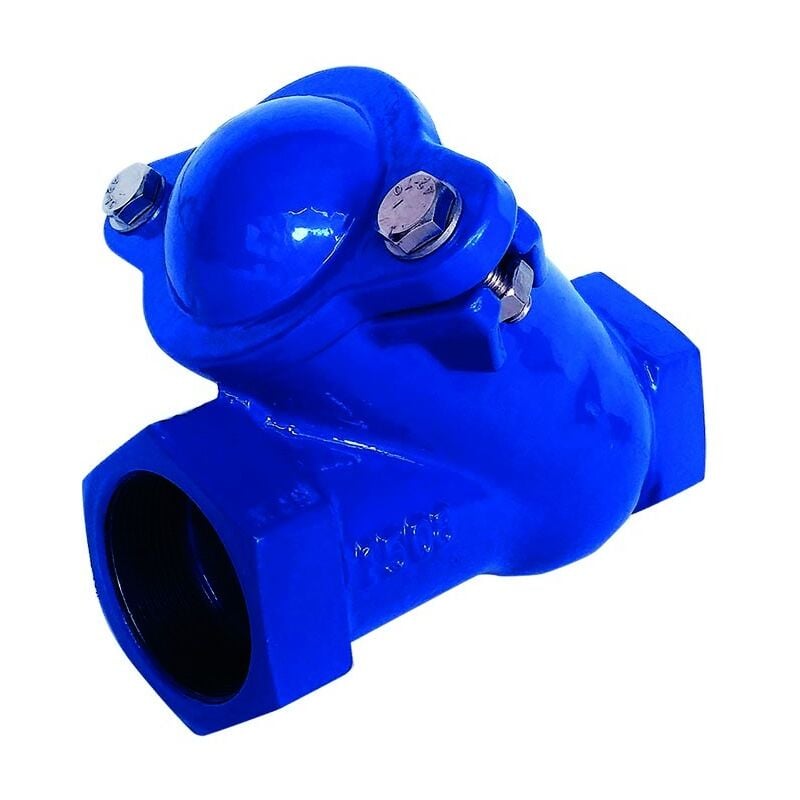 foto del prodotto valvola di ritegno a palla filettata 1' int.135mm