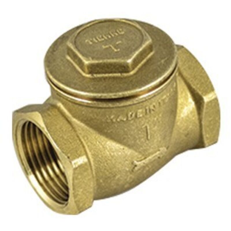 foto del prodotto valvola di ritegno clapet ff 1