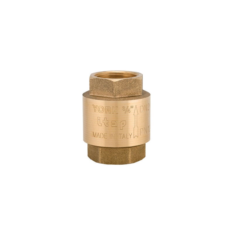 foto del prodotto valvola di ritegno york 2 dn50 10bar 145psi itap