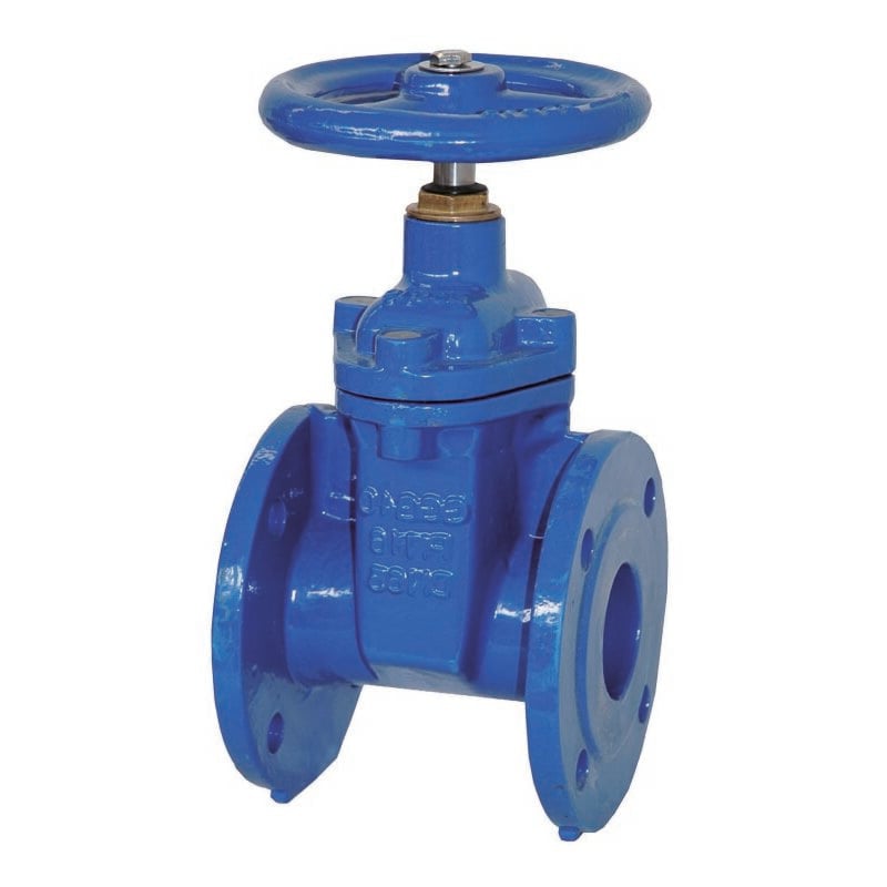 foto del prodotto valvola saracinesca per acqua dn80 pn16