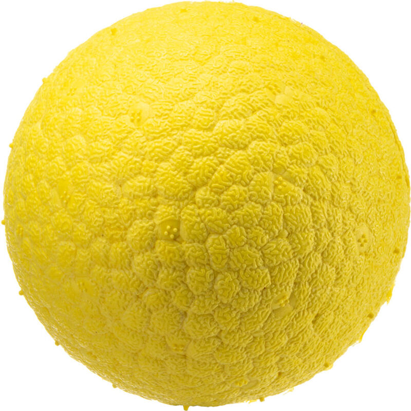 foto del prodotto variante m misure 6.3 cm giallo ferplast