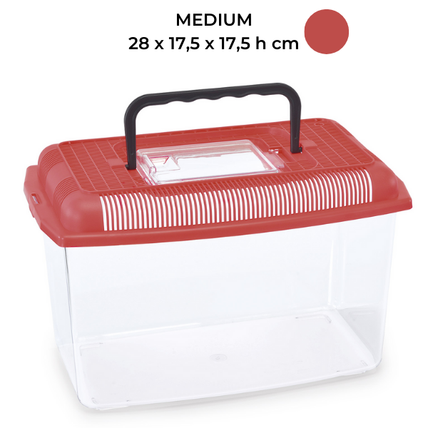 foto del prodotto vaschetta per pesci ariel imac medium 4 l 1 ordine scegli lo sconto bzr5 bzr20 200 punti fedelt 