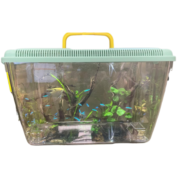 foto del prodotto vaschetta per pesci ponza petup - capacità 9 l - 1 ordine scegli tra bzr5 / bzr20 + 200 pt fedeltà