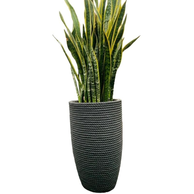 foto del prodotto vaso alto 70cm tronco conico bomcord pv bali effetto corda in resina telcom colore smoke