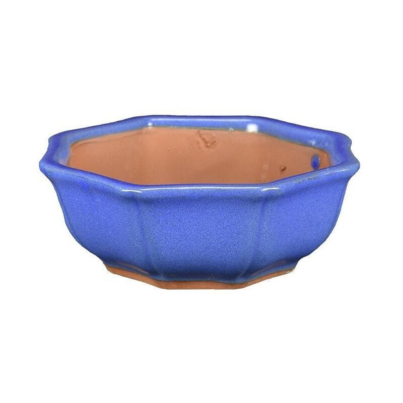 foto del prodotto vaso bonsai fior di loto smaltato blu 19 cm