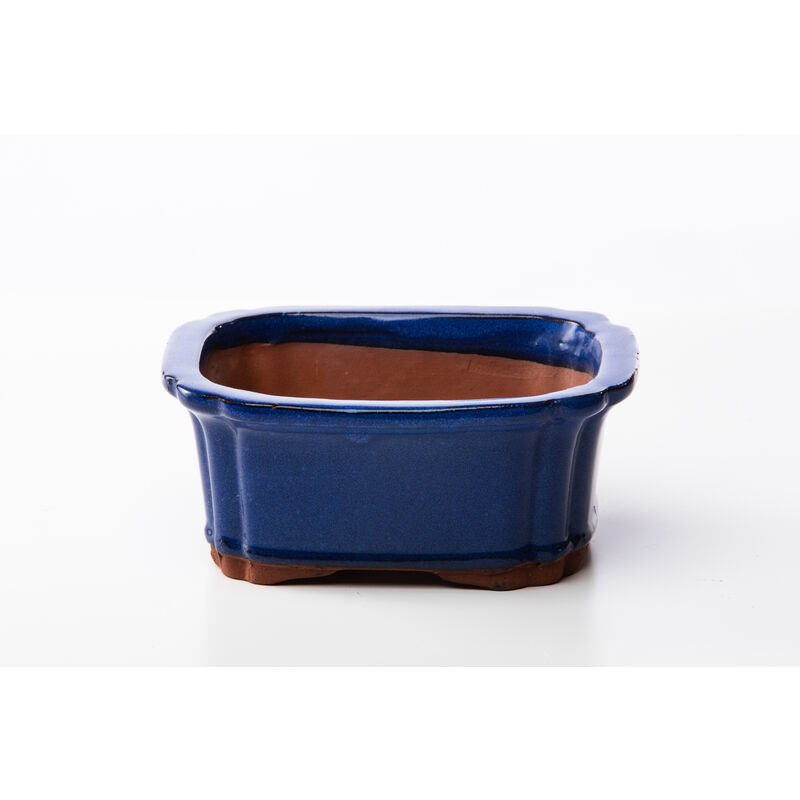 foto del prodotto vaso bonsai rettangolare 16 cm smaltato blu