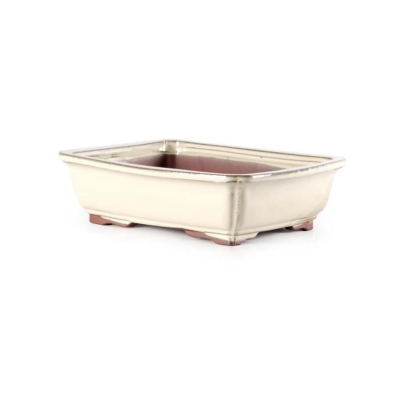 foto del prodotto vaso bonsai smaltato rettangolare cm. 19 avorio