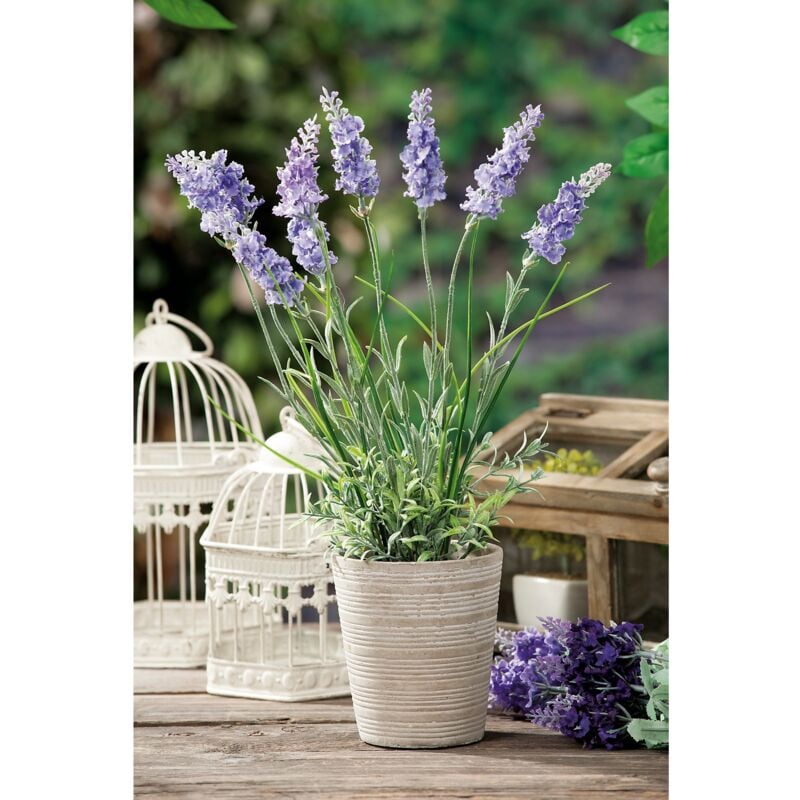 foto del prodotto vaso c lavanda diam10xh40