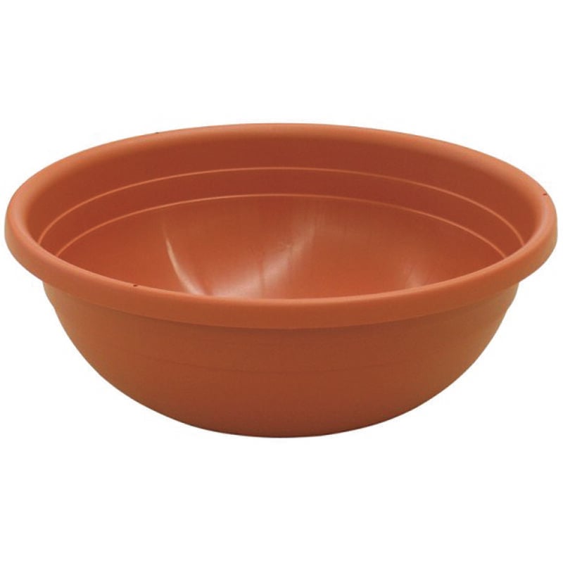 foto del prodotto vaso ciotola clivia cm.20x8h.