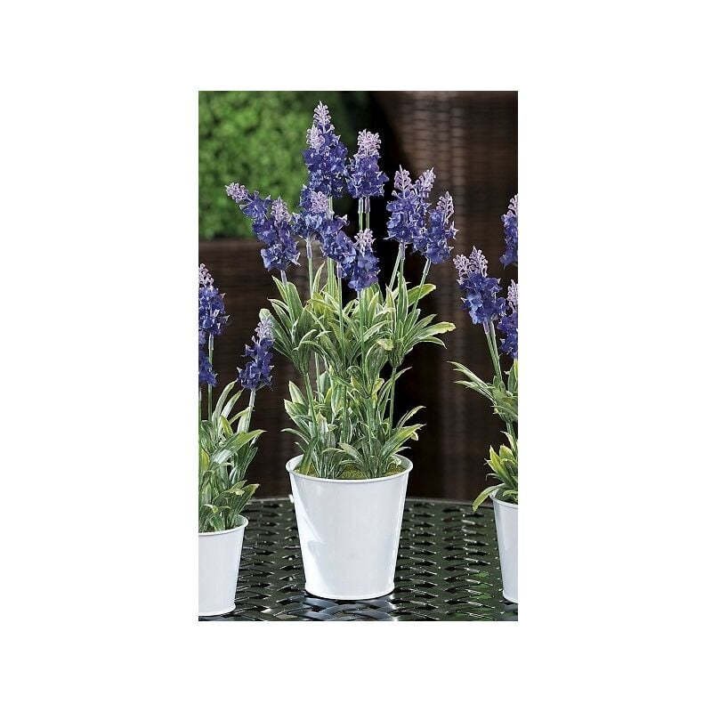 foto del prodotto vaso con lavanda d.10.5xh39cm in 2 modelli