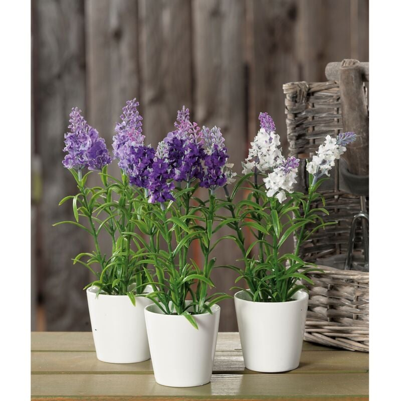 foto del prodotto vaso con lavanda d.8xh26cm in 3 colori