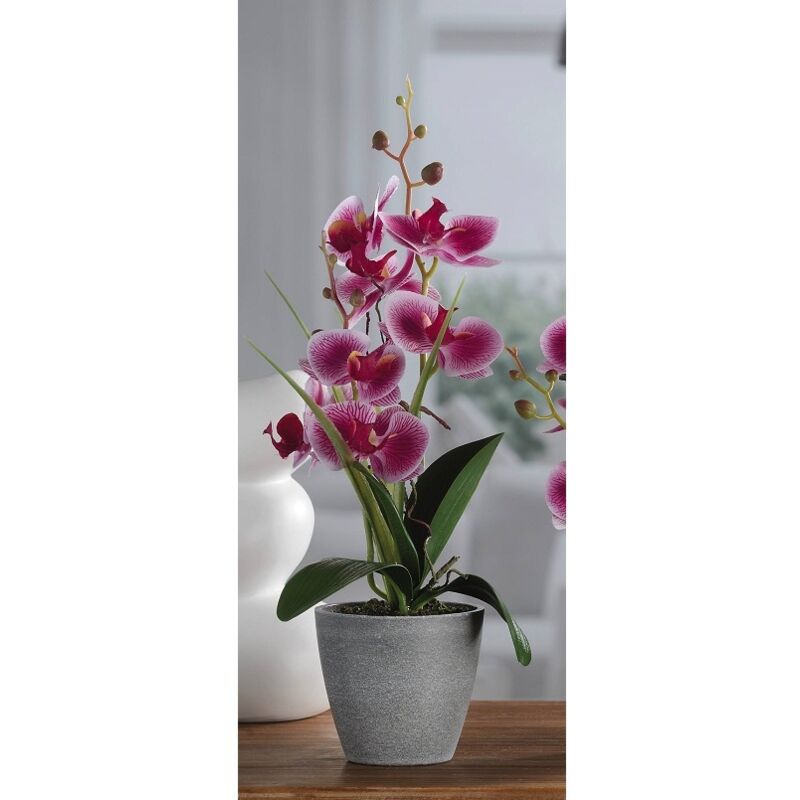 foto del prodotto vaso con orchidea a 7 fiori d.10xh38cm in 4 colori