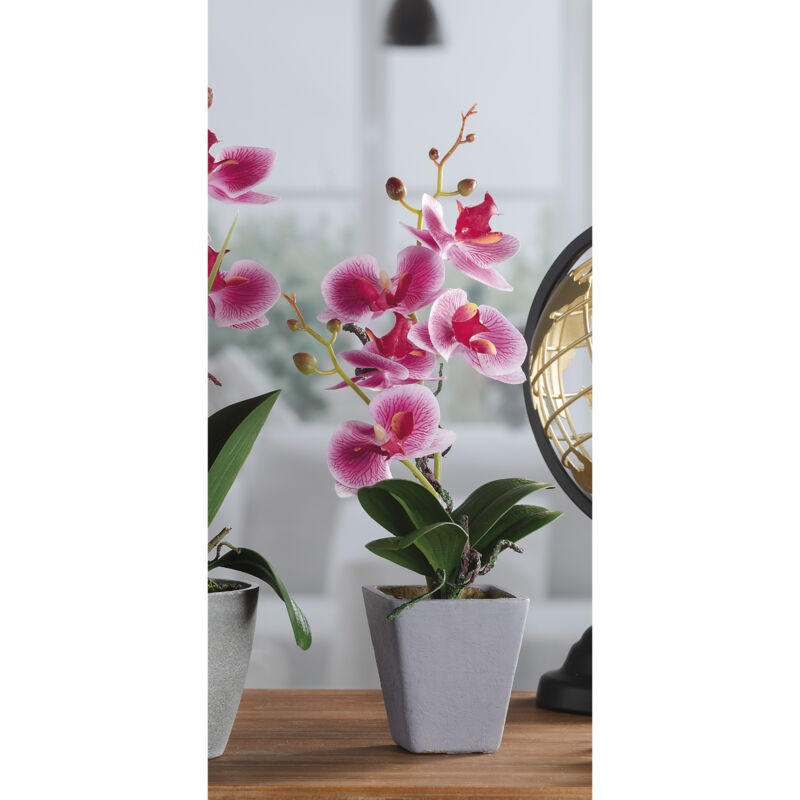foto del prodotto vaso con orchidea d.8xh34cm in 4 colori con 5 fior