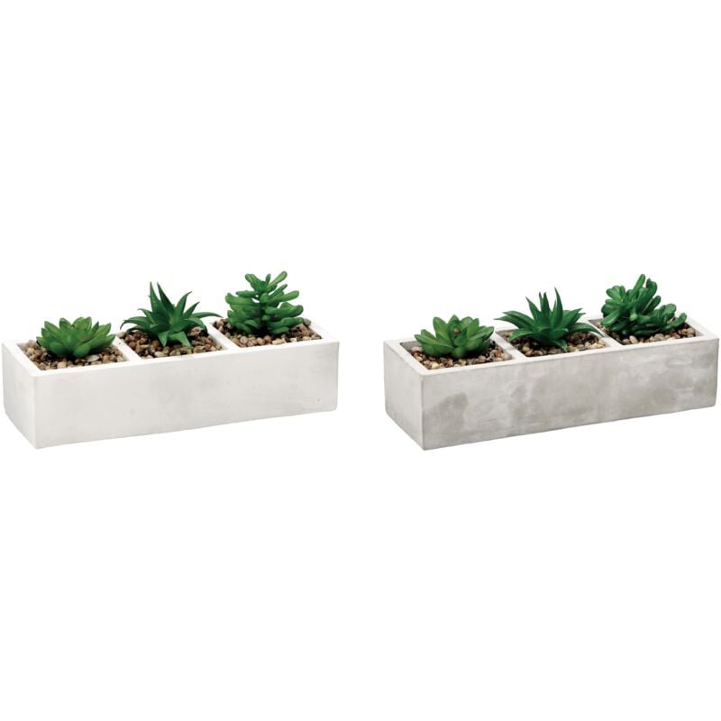 foto del prodotto vaso con pianta grassa decorativa 26x10xh10cm in 2