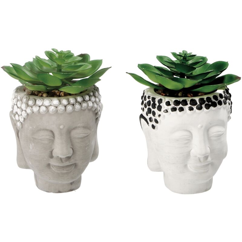 foto del prodotto vaso con pianta grassa decorativa d.9xh13cm in 2 c