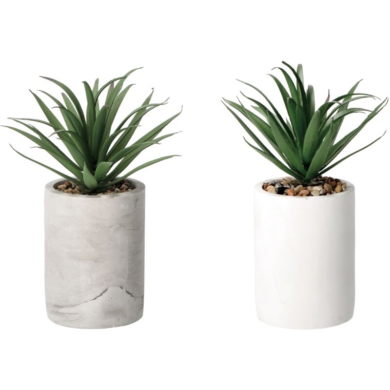 foto del prodotto vaso con pianta grassa decorativa d.9xh22cm in 2 c