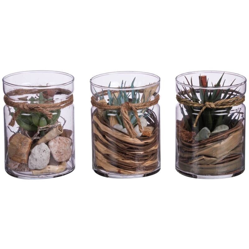 foto del prodotto vaso con piante d.10xh13.5cm in 3 modelli in vetro