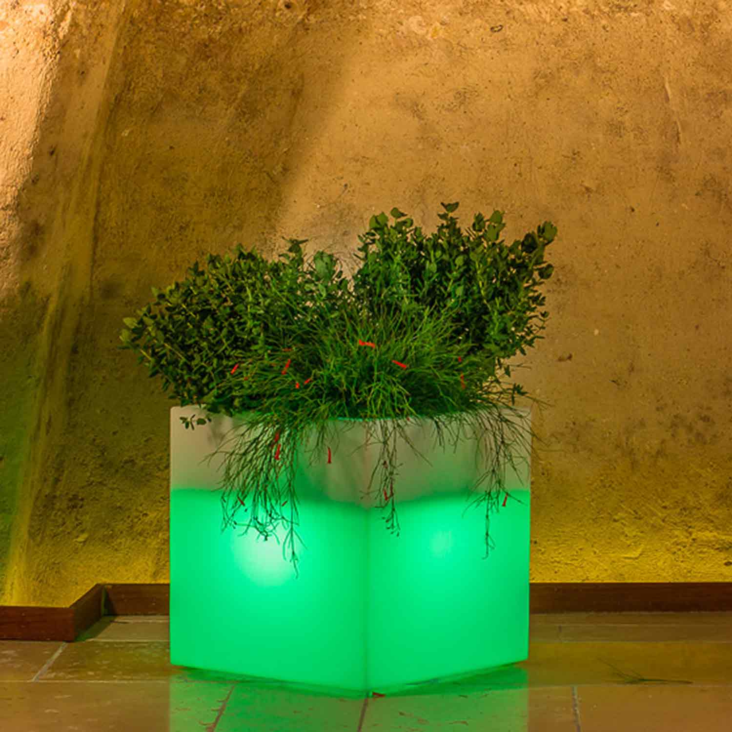 foto del prodotto vaso cube in resina quadrato h40 lampada verde 40x40cm