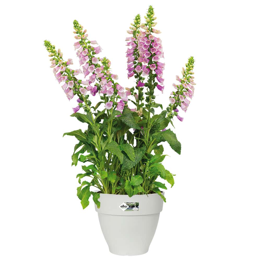 foto del prodotto vaso da fiori bianco 20x17cm 3,2l