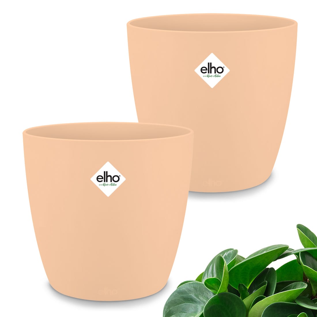 foto del prodotto vaso da fiori bruxelles set di 2 pesca 14x13cm 1,4l