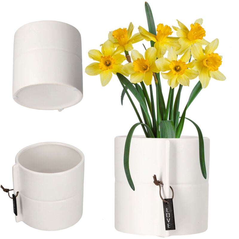 foto del prodotto vaso da fiori in ceramica, 2 colori, vaso da fiori dragon tree, viola, viole del pensiero, vaso da fiori rotondo bianco, diametro 13 cm kadax