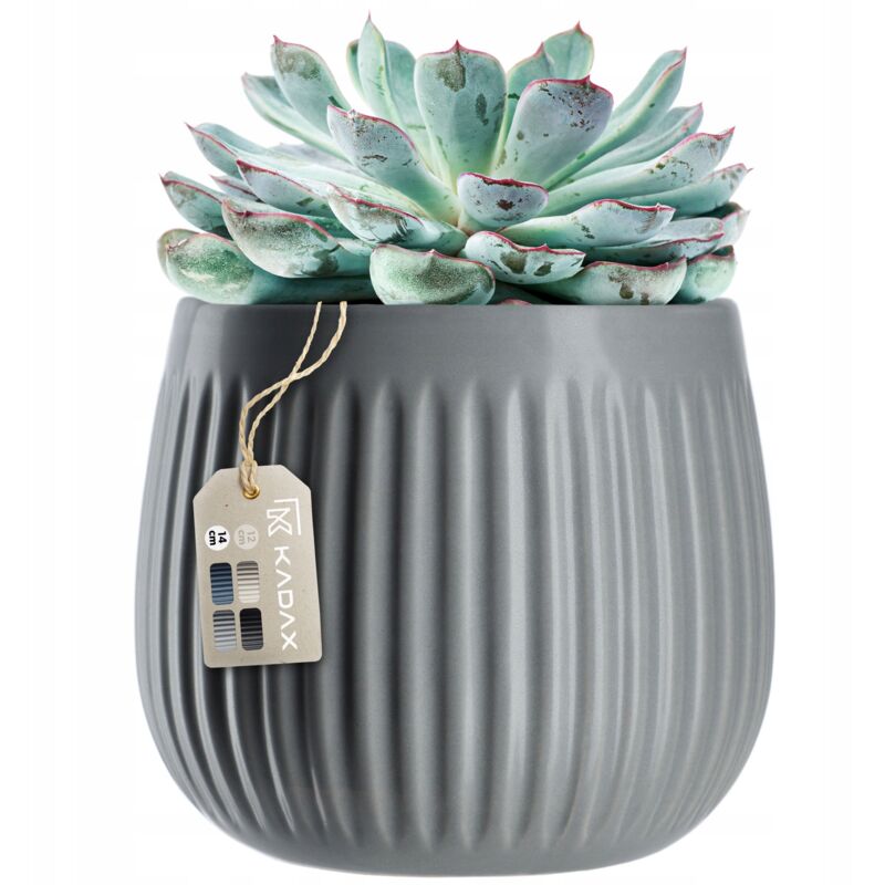 foto del prodotto vaso da fiori in ceramica kadax 14 cm con coperchio grigio