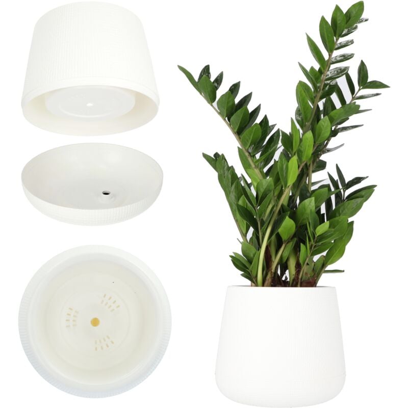 foto del prodotto vaso da fiori in plastica 13-23 cm 4 colori ovale con sottobicchiere in set vaso da fiori - kadax