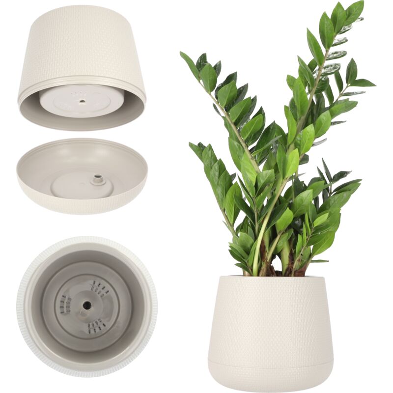 foto del prodotto vaso da fiori in plastica 13-23 cm 4 colori ovale con sottobicchiere incluso nel kit vaso da fiori - kadax