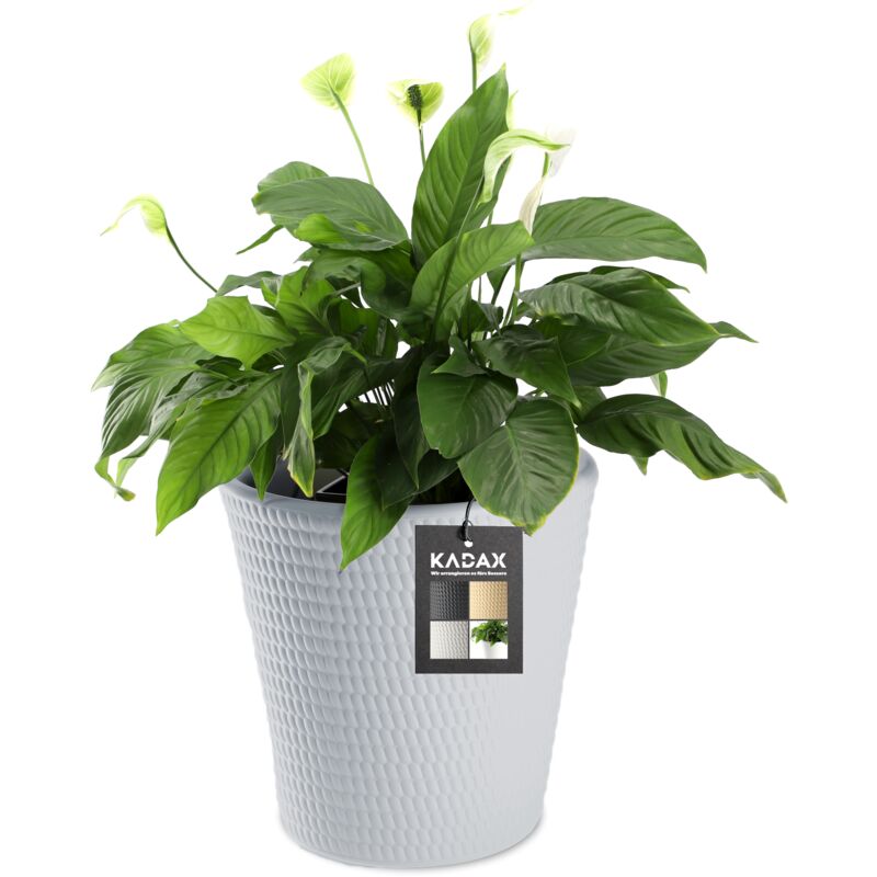 foto del prodotto vaso da fiori in plastica, disponibile in 3 colori, resistente alle intemperie, con superficie opaca, vaso da fiori per esterni grigio 40 cm 