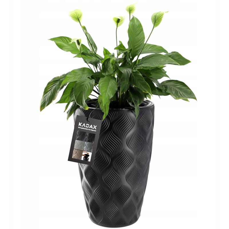 foto del prodotto vaso da fiori kadax con inserto vaso da fiori da giardino nero 48,5 cm