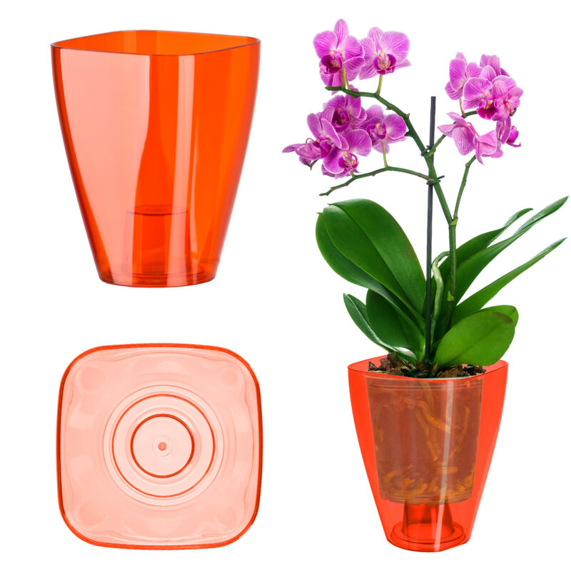 foto del prodotto vaso da fiori, vaso da fiori sottile semplice orchidea margherita per cucina e soggiorno, diametro 9 cm, rettangolare, rosso kadax