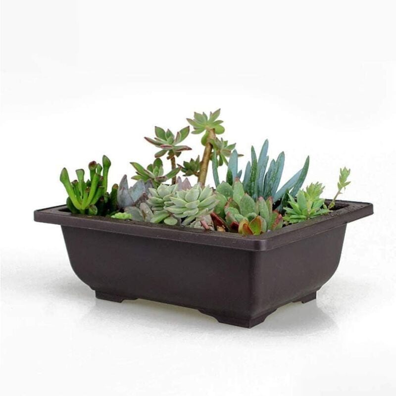 foto del prodotto vaso da fiori, vaso per bonsai, vaso da allenamento, fioriera, ciotola, vivaio, plastica, quadrato, nero, rettangolo, contenitore per piante grasse