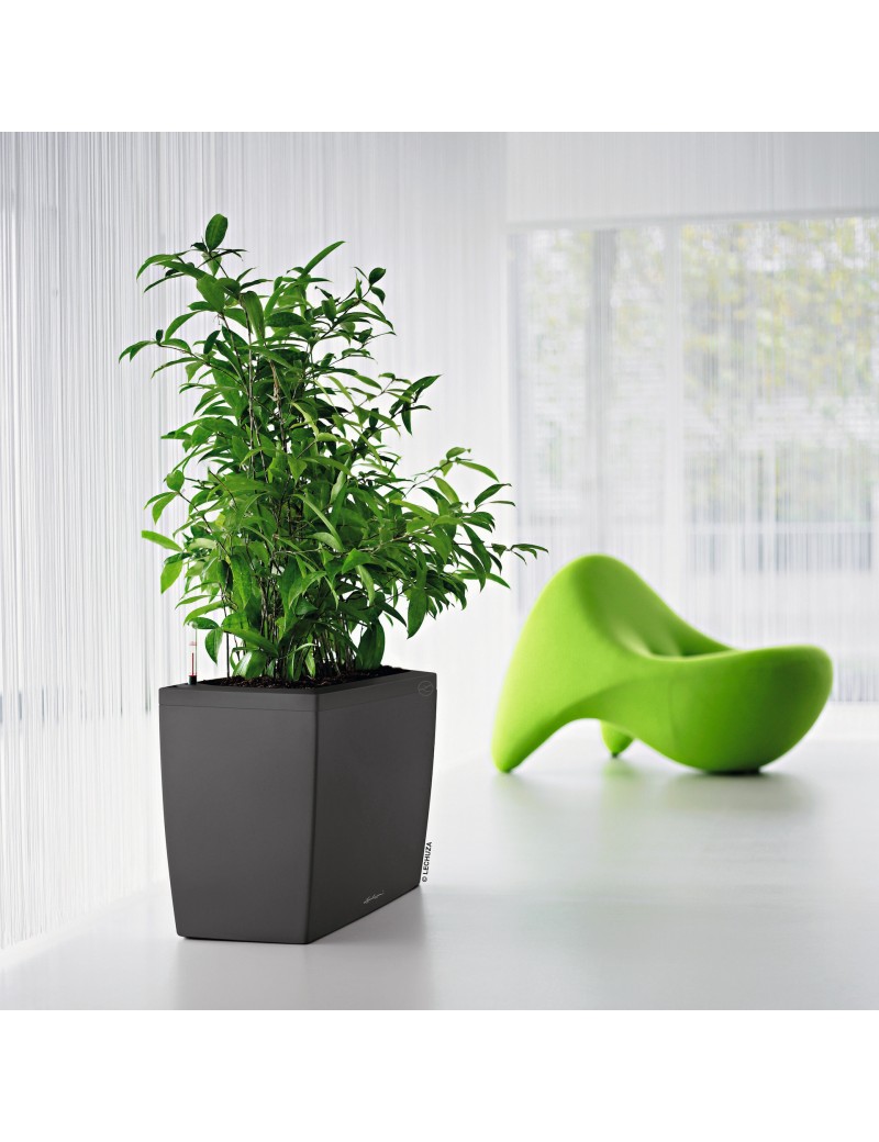 foto del prodotto vaso da interno cararo premium 75 cm antracite metalizzato