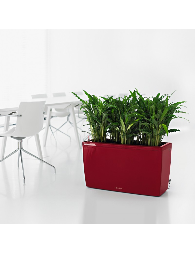foto del prodotto vaso da interno cararo premium 75 cm rosso scarlatto lucido