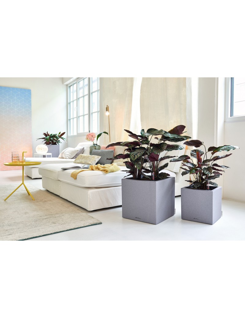 foto del prodotto vaso da interno e esterno canto stone low 40 cm grigio pietra