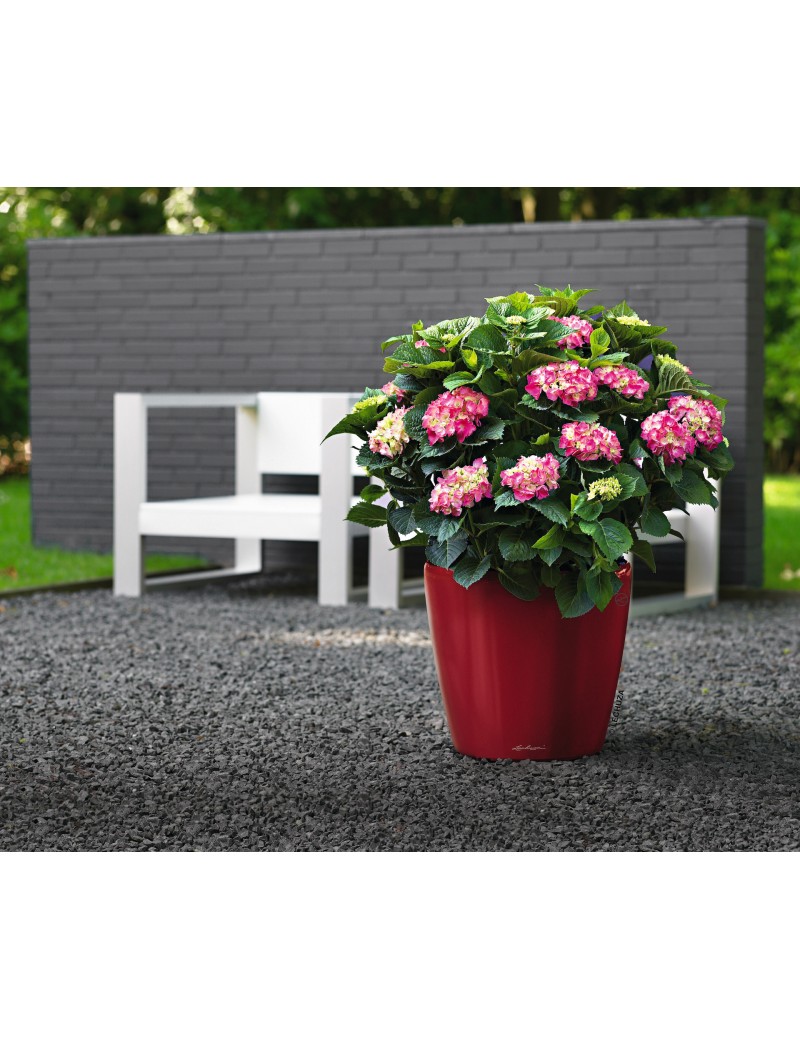 foto del prodotto vaso da interno e esterno classico premium ls 35 cm rosso scarlatto lucido