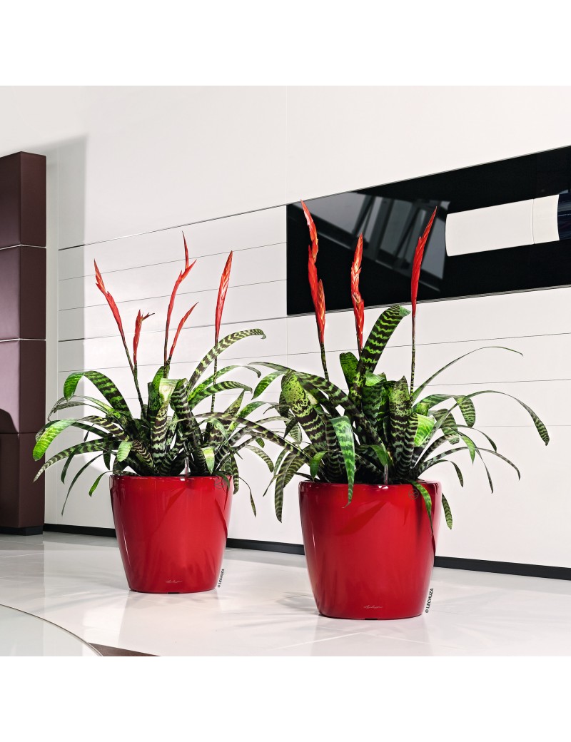 foto del prodotto vaso da interno e esterno classico premium ls 43 cm rosso scarlatto lucido