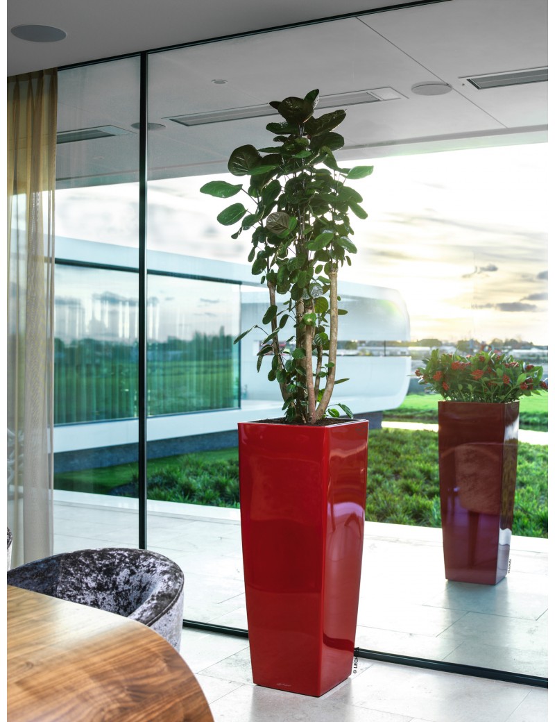 foto del prodotto vaso da interno e esterno cubico premium alto 40 cm rosso scarlatto lucido
