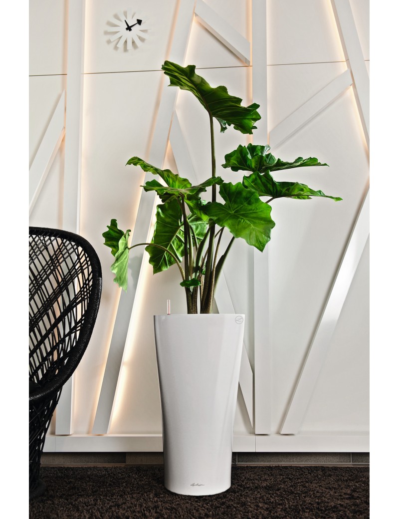 foto del prodotto vaso da interno e esterno delta premium 30 cm bianco lucido