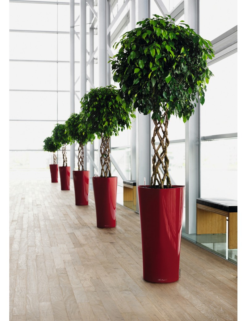 foto del prodotto vaso da interno e esterno delta premium 40 cm rosso scarlatto lucido