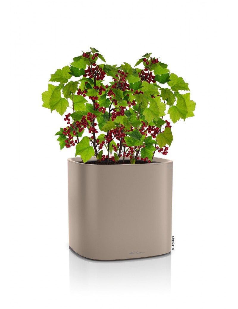 foto del prodotto vaso da interno e esterno pila color planter 35 cm marrone sabbia