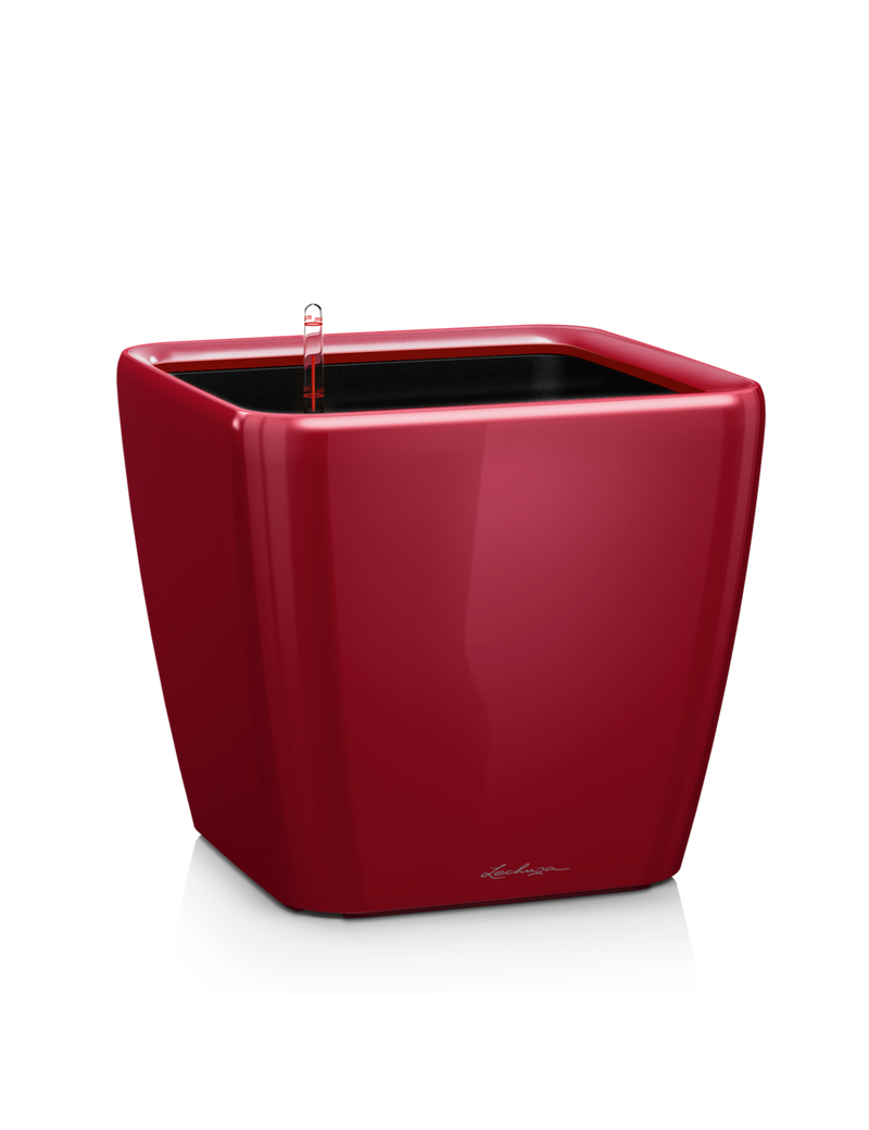 foto del prodotto vaso da interno e esterno quadro premium ls 21 cm rosso scarlatto lucido