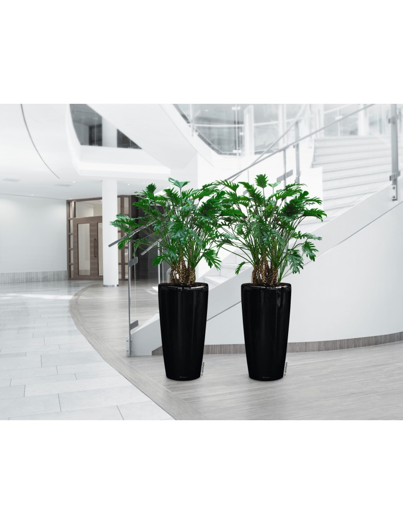foto del prodotto vaso da interno e esterno rondo premium singoli 32 cm nero lucido