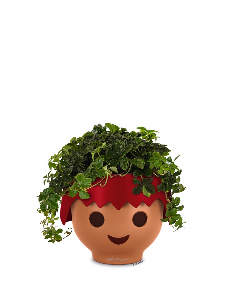 foto del prodotto vaso da interno ojo 21 cm fire red