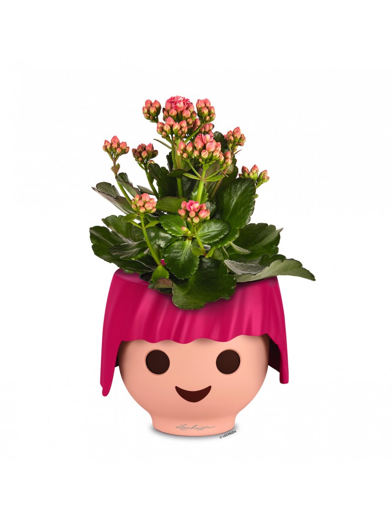 foto del prodotto vaso da interno ojo 21 cm roby pink