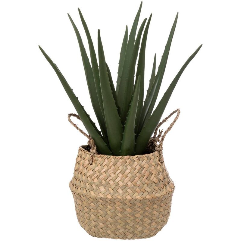 foto del prodotto vaso di canne di aloe vera artificiale h40cm atmosphera cr ateur d int rieur