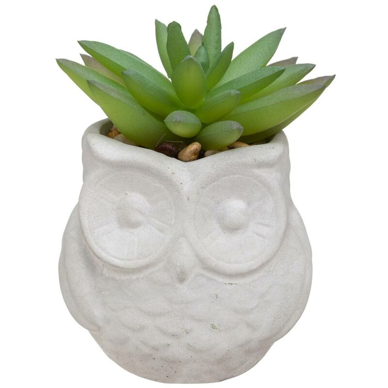foto del prodotto vaso di cemento per succulente artificiali h8cm modello c atmosphera cr ateur d int rieur